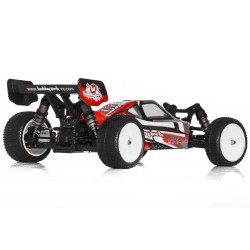 Hobbytech Brx.S1 Brushless 1:10