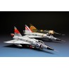 F-102A (CASE X) MENG DS-003