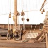 La Niña 1492, Amati
