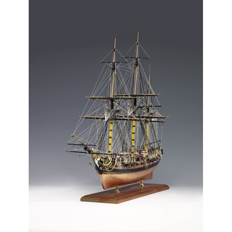 AMATI 1300/05 Pegasus