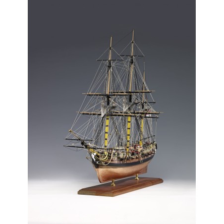 AMATI 1300/05 Pegasus