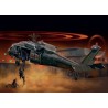 UH-60/MH-60 BLACK HAWK "NIGHT RAID"