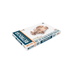 Maqueta mecanica EWA Coche CLasico 315 piezas