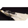 U.S. NAVY FIGHTER F-14A
