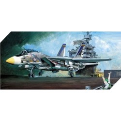 U.S. NAVY FIGHTER F-14A